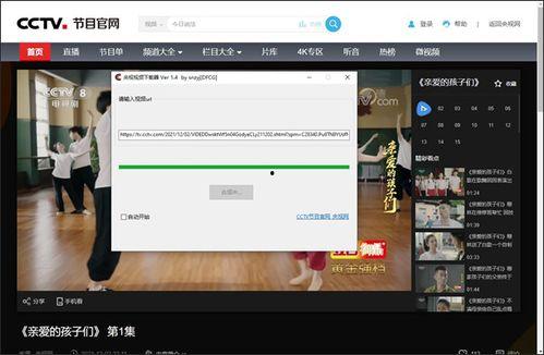 能下载的视频软件,轻松获取海量影视资源