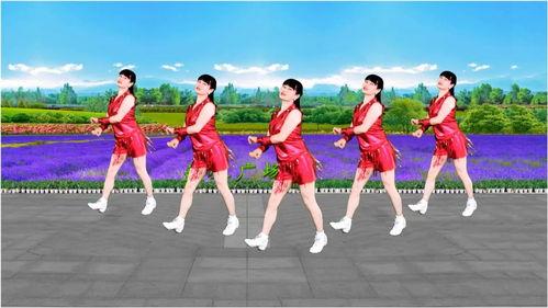 我不是高富帅广场舞视频,揭秘“我不是高富帅”的火热魅力