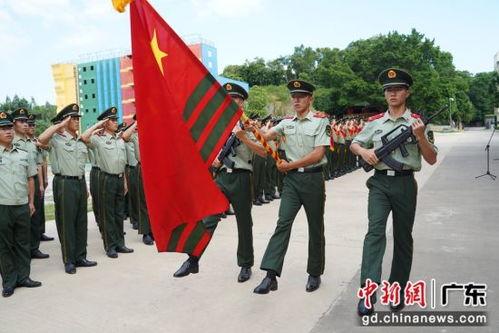 阳江市政府打老兵视频,真相与反思