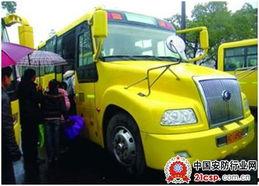 校车的视频,安全守护下的温馨日常