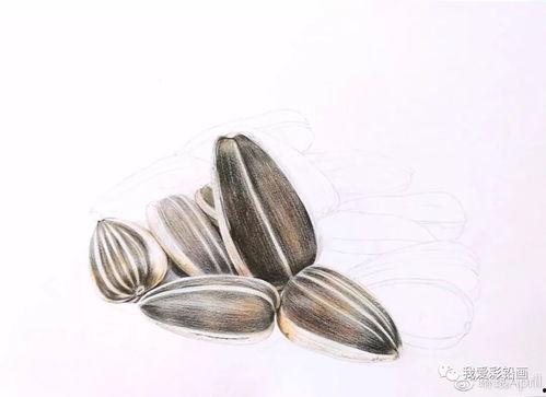 炒瓜子视频教程,轻松掌握香脆美味秘诀