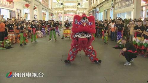 广西醒狮表演视频大全,传统技艺与现代风采的完美融合