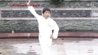 绵拳教学视频,领略传统武术的柔韧之美