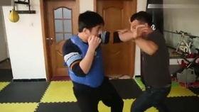 八极拳猛虎硬爬山视频,八极拳猛虎硬爬山视频深度解析